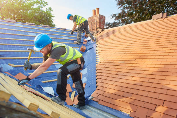 Best Chimney Flashing Repair  in Henderson, GA