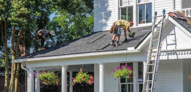 Best Roof Insulation Installation  in Henderson, GA